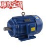 �S��ֱ�����ஐ��늄әCYE3-100L1-42.2kw���~늹��I�����R�_