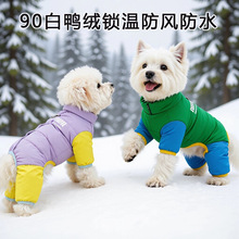 ������q�������q������ů���L��ˮ���ߵ�̩����С��Ȯ���_�·�