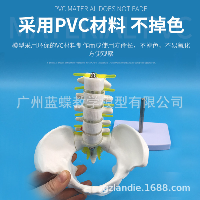 С�͹���������׵ģ�� ������׵β׵β��׵�����񾭹���ģ��