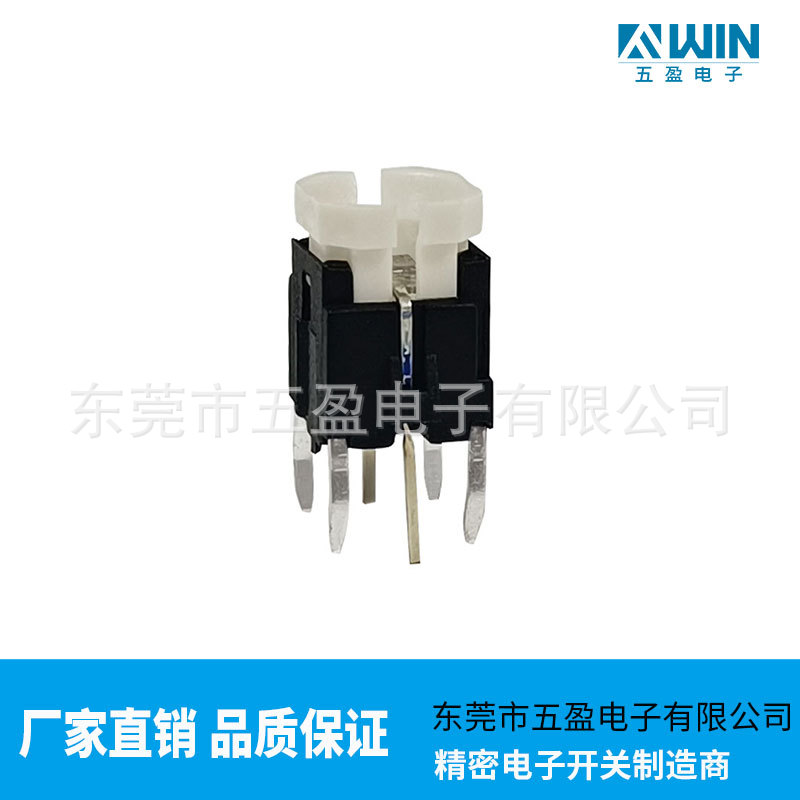 6*6带灯轻触开关 各种灯色按键 喇叭口带灯开关 FVWIN