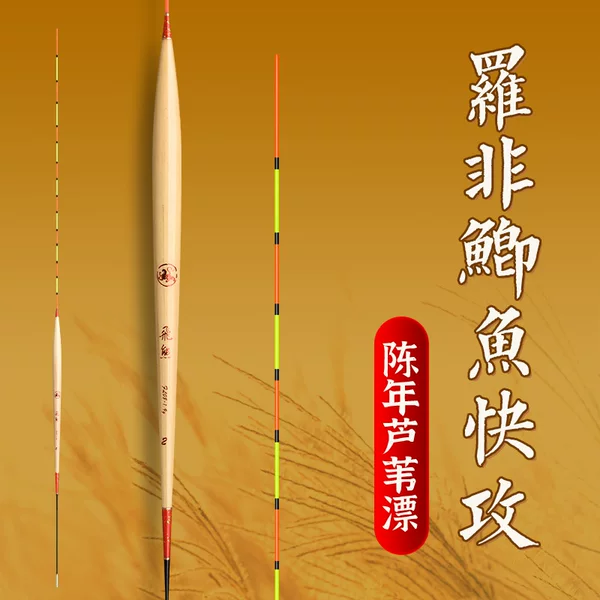 Flying Bear Reed Float for Bottom Fishing, Carp Float, Tilapia Float, Fast Turnover, Good Stability, Competitive Fishing, Fast Fish Catching