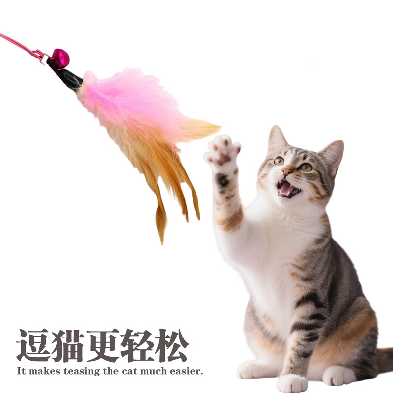 猫のおもちゃの猫の棒は鈴のワイヤーのぬいぐるみの羽のペットを持って猫のおもちゃの用品を笑わせます。|undefined