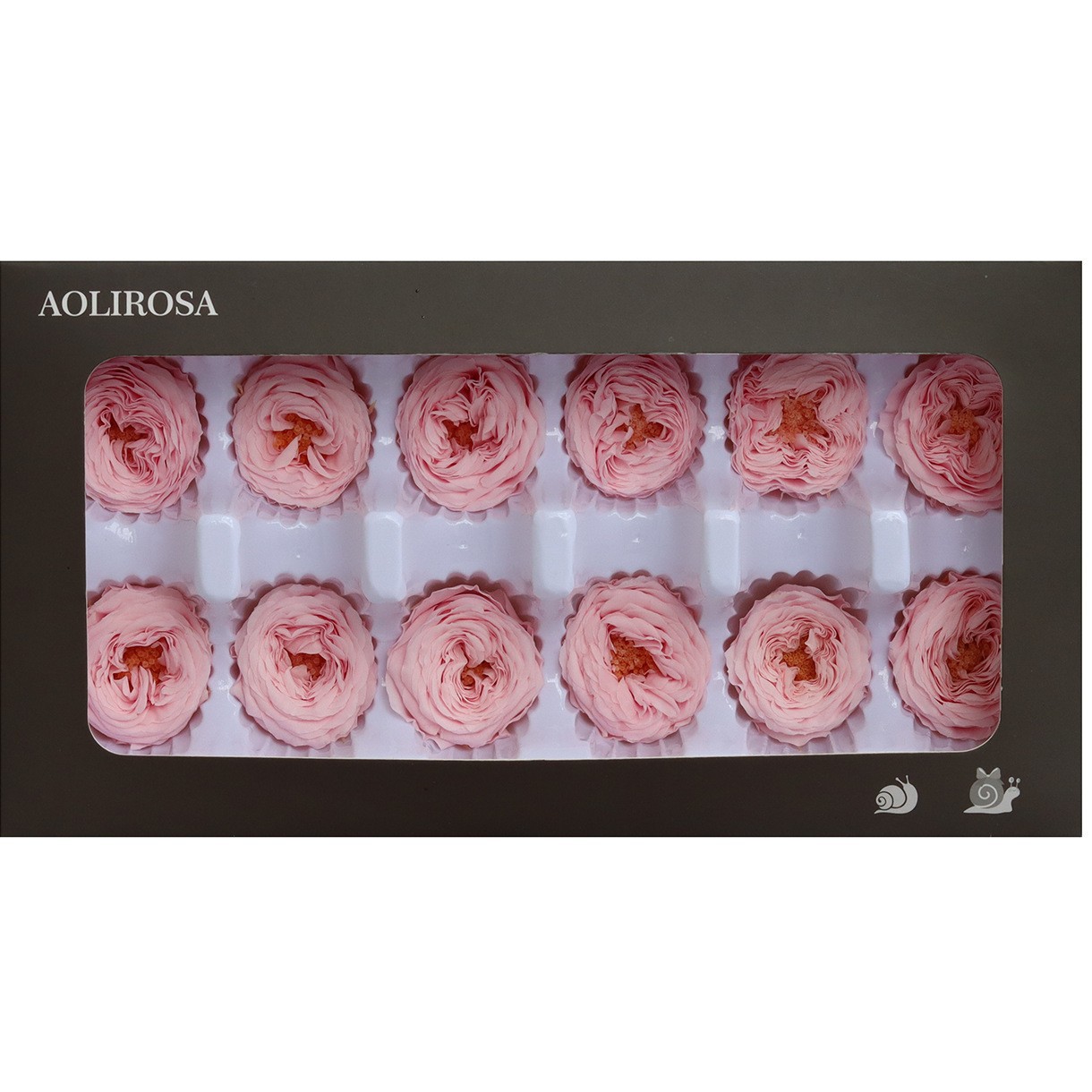 Grade A Valentine's Day Rose/Austin/Eternal Flower/2-3CM Rose cabeza/fábrica al por mayor gran cantidad Congyou