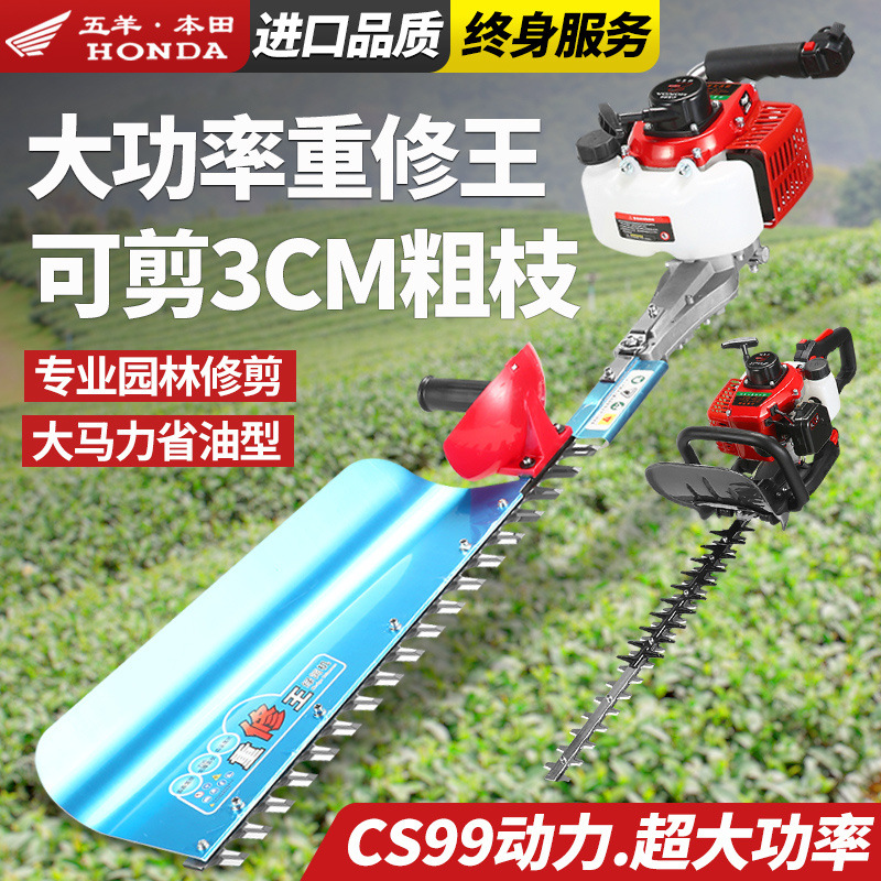 进口五羊本田汽油绿篱机茶叶茶树修茶机园林绿化修剪机重修采茶机