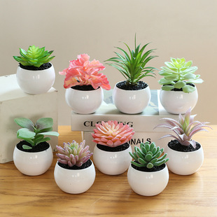 Creative simulation green plant indoor potted succulent plant living room office desktop decoration home soft decoration free shipping