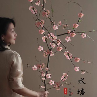 Hydroponic Crabapple Flowers Bloom in All Seasons, Fresh-Cut Flower Branches with Buds, Water-Raised Stems and Branches, Indoor Flower and Green Plant Potted Plants for Spring