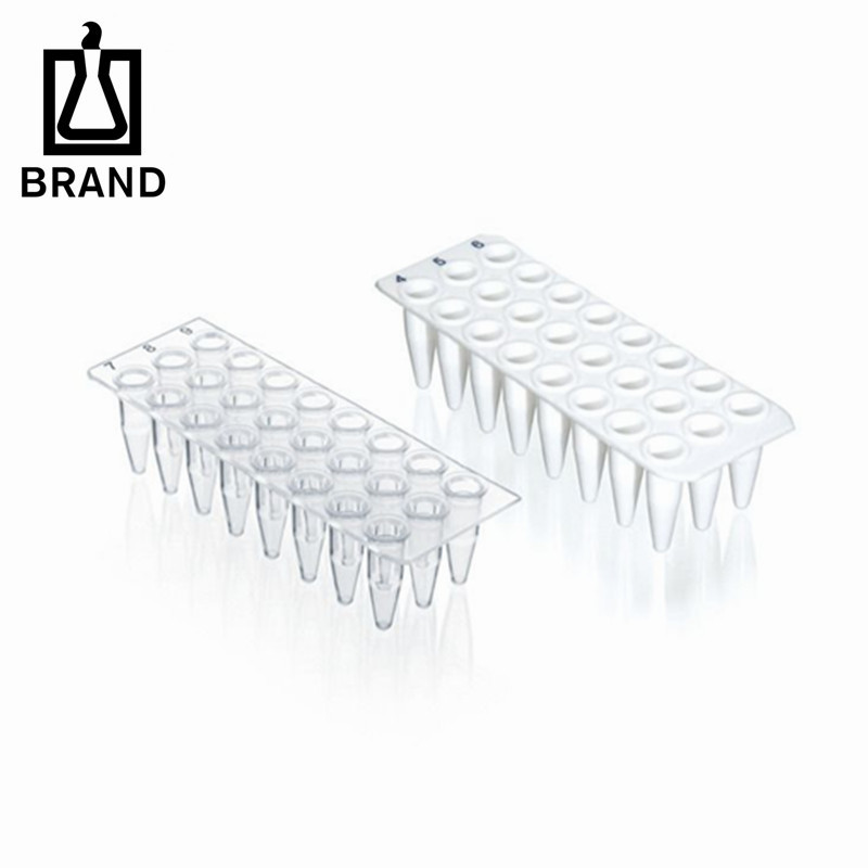 BRAND/普兰德PCR24孔板PP材质无裙边BIO-CERT PCR QUALITY
