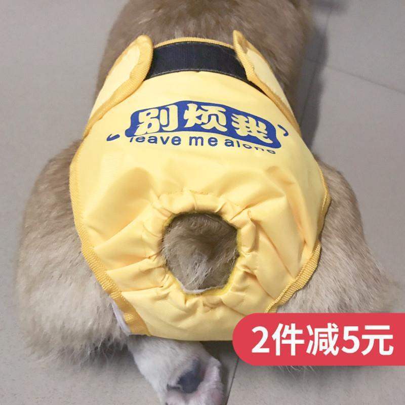 狗狗生理裤女大型犬母狗金毛宠物月经裤防交配姨妈裤卫生巾安全裤