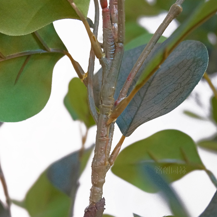 Simulación directa de fábrica árbol de dinero planta verde bonsai simulación de calidad transfronteriza simulación de árbol de eucalipto Bonsai de eucalipto