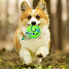 跨境寵物玩具發聲逗狗球啃咬磨牙彈力球TPR網球戶外訓練玩具