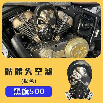 Brake caliper cover | Fuel Tank Protection Side Cover, Etc - black-flag-500-skull-air-filter-silver