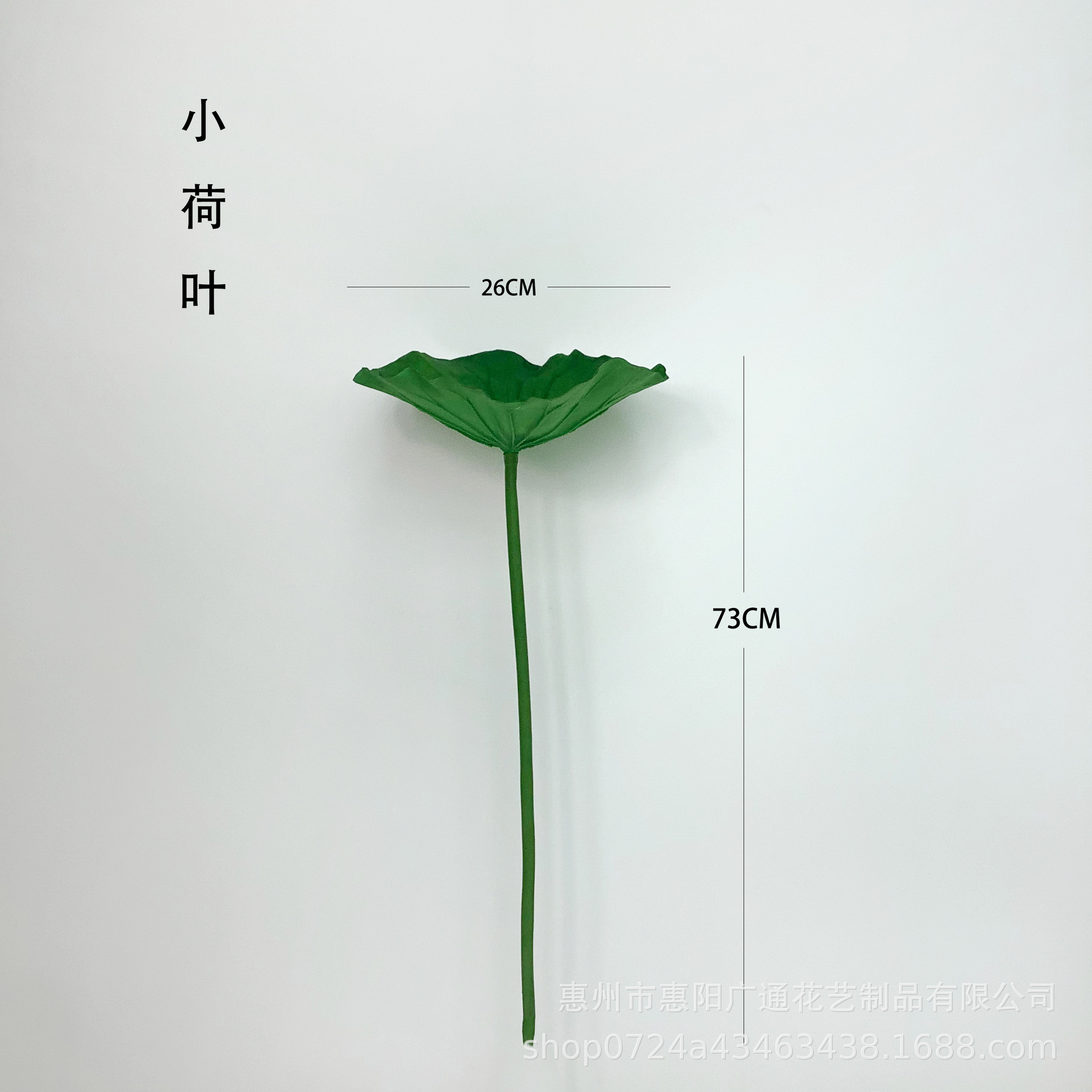 작은 연잎