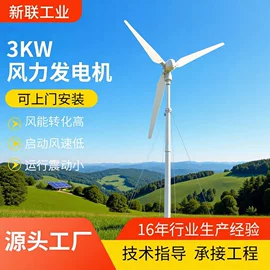 风力发电机;同步发电机