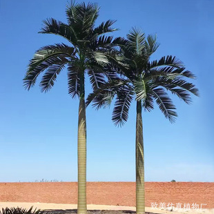 �������Ҭ�Ә�����҃���ٴ���̈��Ƶ�ˮ�Ϙ��@���溣��Ҭ�Ә�