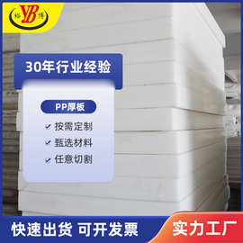 裕博厂家直供全新料加厚PP板塑料切菜食品肉砧板抗老化雕刻板可定