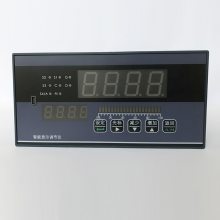DDCB-32DZNN1/GV Intelligent Regulator Shanghai Shangrun Instrument