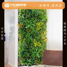 CCGrass�b��������������҃�������¶�I�Ƶ깫˾�Gֲ