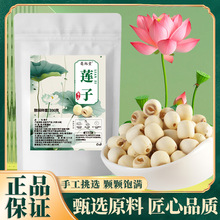 新莲子干货 去芯100g特产湘潭湘莲磨皮白莲子 带芯莲去芯批发代发