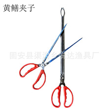 �S�X�A�� ���P��~�A�� ���r�Q�����q�A�ӿ��~����ឝO����Ʒ���l