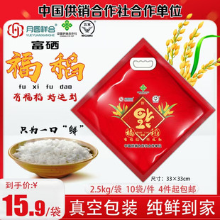 �S��ֱ�N5�︣��������������������ϲ�c�Fُ���l�ؿ��u�c���N�Y