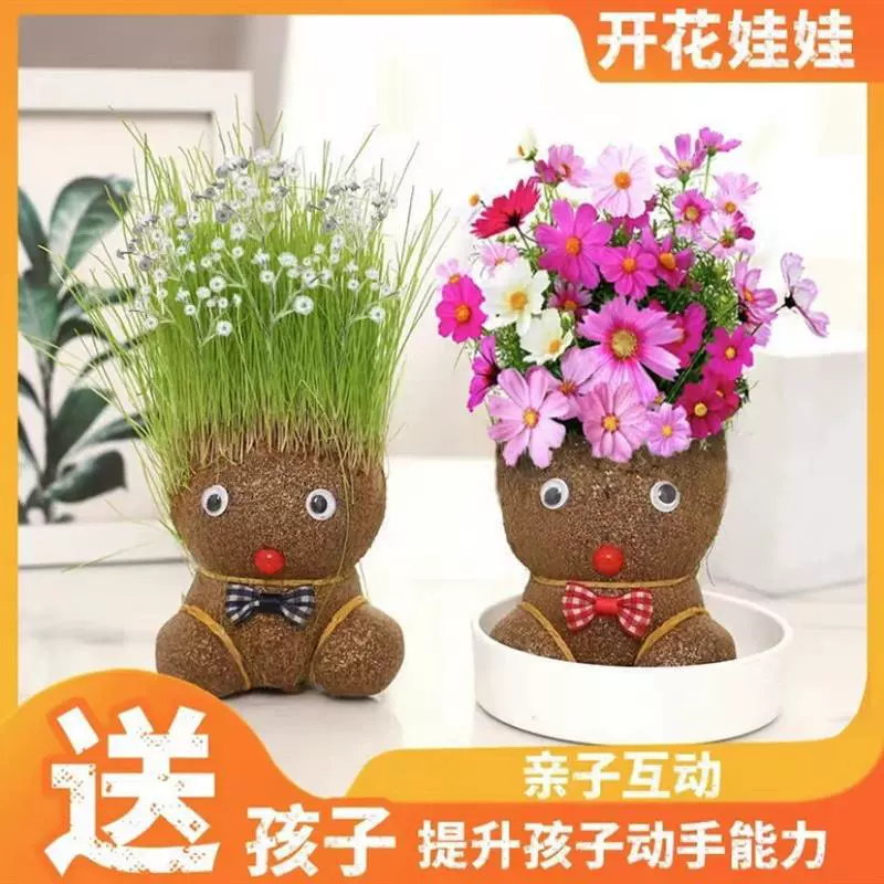 Кукла из травы, цветок, растение, горшок, посадка семян, слепая коробка, студенческие призы, детские маленькие подарки, подарки