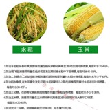 Швейцария Швейцария Скавараадохлорпофензилемемид+Тимразид сахарного тростника пестициды пестициды пестициды пестициды пестициды