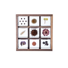 ձMڸ͸ֲ˱ѹӢʽ[Ů˶Y[