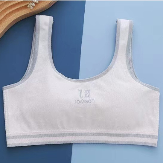 핑크 (조끼)