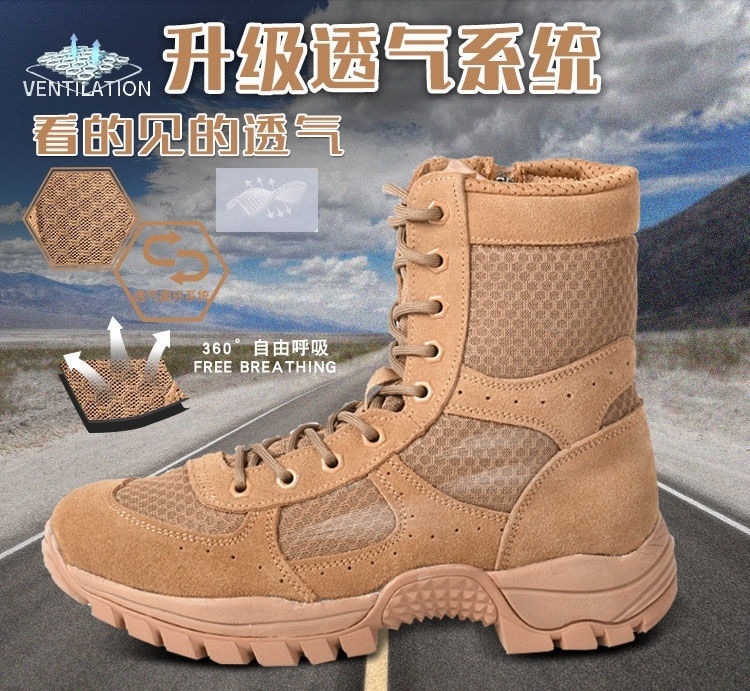 2c829f9b-3a04-4be5-bbe6-f6c6d8bd77e9.jpe