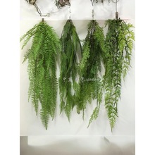 �b�픠��ڵ��Gɫֲ��ֲ����~ާ��m�Gɫֲ��G�ٗl�ܵ�