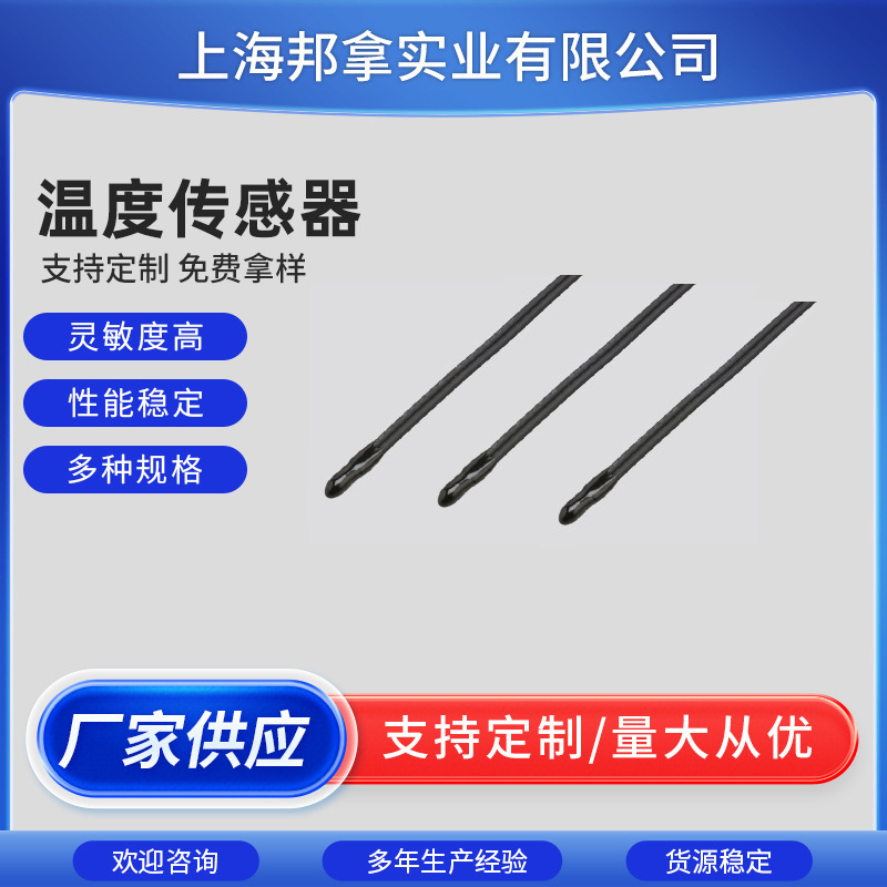 厂家供应热电阻温度探头蓄电池环氧树脂测量仪器温度传感器