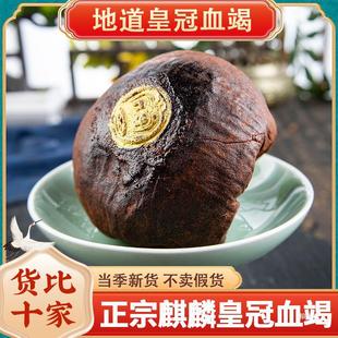 �������ӡ��ʹ�Ѫ��ƷľѪ��250g500g�˿�Ѫ������؛��؛