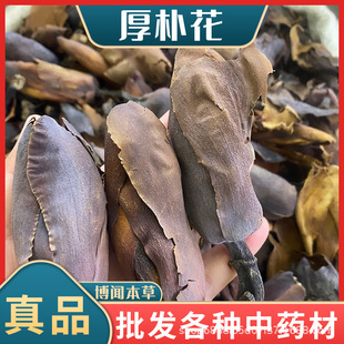 ɢ�b��؛���ӻ� ���l���ӻ� �{���� ����ă����l���l