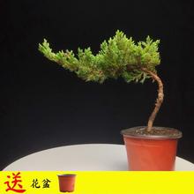 �����F��ؔ���辰ֲ���Ϙ��Sɽӭ�������͘��������������ɔ[��