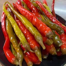 �����ز��ݲ�̳����������������̳���·��˽�����������������