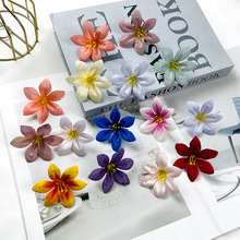 ���滨¶ˮС��m �zӰ���ߔ[���ȼٷ��bñ�diy�����^Y�����
