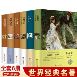 全6册傲慢与偏见简爱巴黎圣母院飘茶花女呼啸山庄正版原著中文全