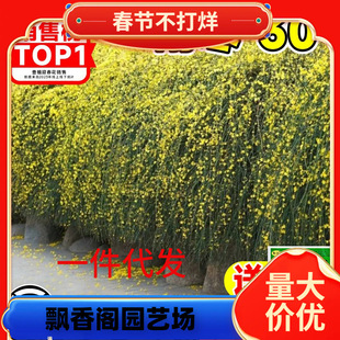 һ�����lӭ���������辰�B�N�Ϙ������҃��̨ͥԺ���ٴ������܈�