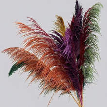 �JȔ�ݸɻ��W�t��Ȕ���� ins�L�p�ݼҾ��bS�����l�羳���l