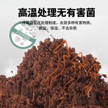 Ҭ�u�I�B��Ҭ��Ҭ���B���N�˷���Ҭ���u������Ҭ��������|������