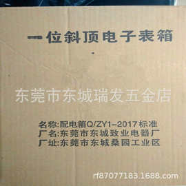 致业室外斜顶电子表箱室内挂墙式电表箱单相电子表箱空气开关C45B