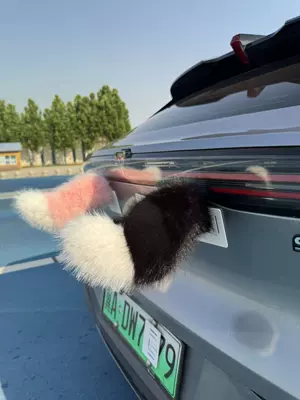 Electric tail car rear decoration, electric vehicle, electric tricycle, electric motorcycle, Q series parking space decoration, sound-controlled plush accessory (Other Automotive Exterior Supplies) - black