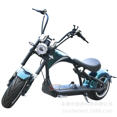 City Riding 2000W 20Ah – Elektrikli motosikletlər - frosted-green-60v20ah