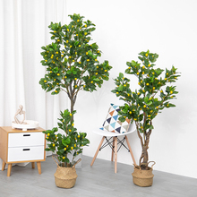 ���W���͙��ʘ����Ә��҃��bGֲ�辰�ٻ��ҾӔ[����ؼ٘�