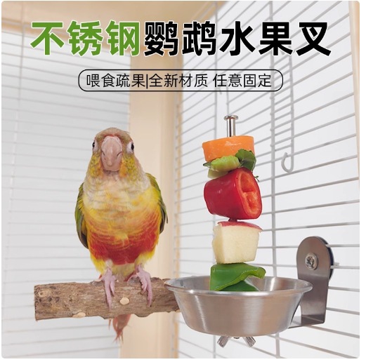 Parrot Bird Water Fruit Fork Stainless Steel Vegetable Corn Hook Fruit Clip Feeder Toy Bird Cage Accessories Supplies