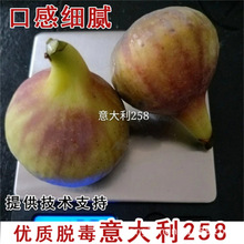 ���m��˟o���������ͺ������t�o����������Ա��Ϸ��Nֲ����Y��