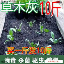 种菜稻草灰防虫泥土草木灰农家底肥调节营养天然土壤改良剂水晶泥