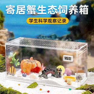 Hermit Crab Breeding Box, Special Tank for Hermit Crabs, Sand Crab Acrylic Breeding Box, Ecological Landscaping Shelter House Package