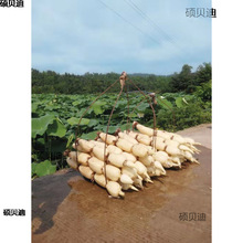 \ˮźNɏźNźˮźN ߮aʳɏźN źź1