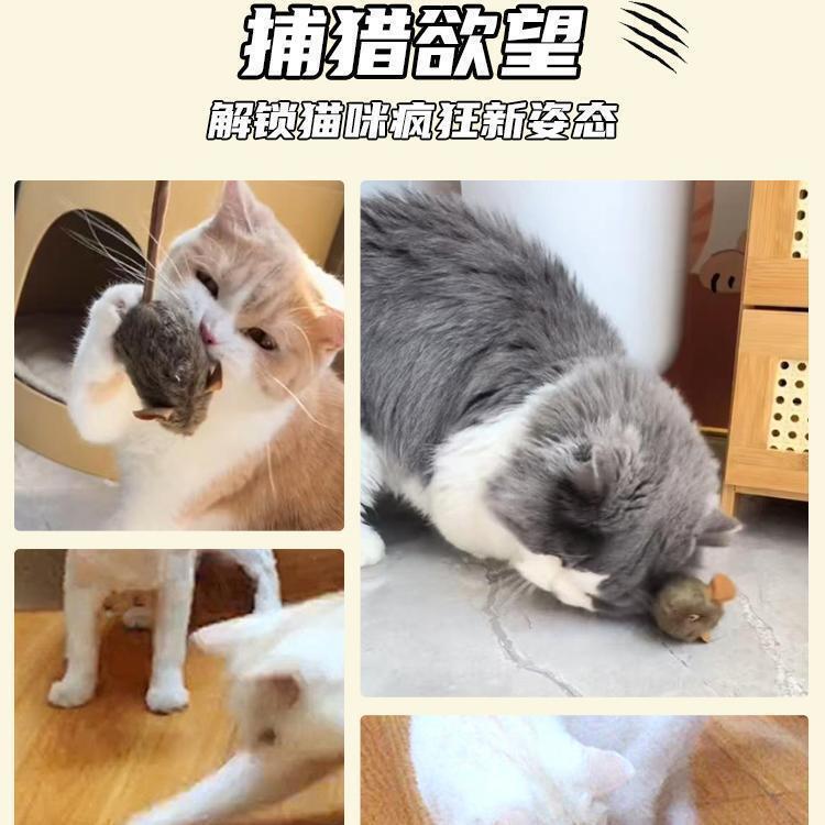 猫のおもちゃ、模擬ネズミ、ぬいぐるみ、音が出る電動ネズミ、猫を楽しませるスティック、ペットの子猫、自己楽しみと退屈解消のアーティファクト|undefined